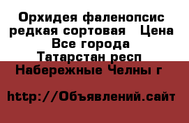 Орхидея фаленопсис редкая сортовая › Цена ­ 800 - Все города  »    . Татарстан респ.,Набережные Челны г.